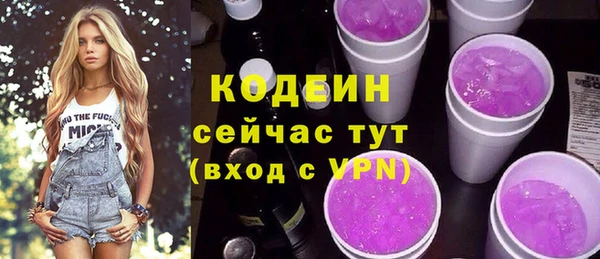 молекула духа Ачинск