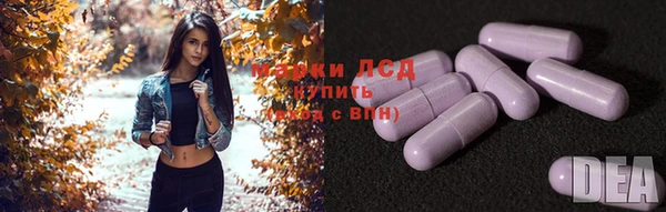 стафф Липки