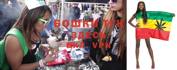молекула духа Ачинск
