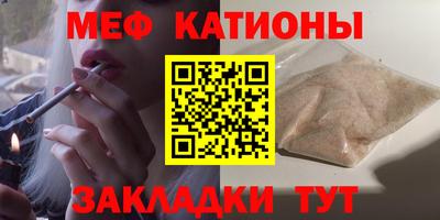индика Камышлов