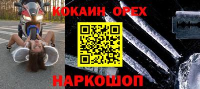 индика Камышлов