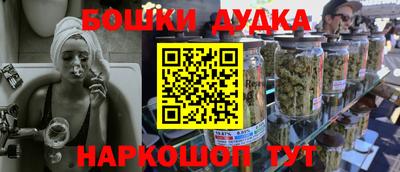 индика Камышлов