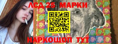 индика Камышлов