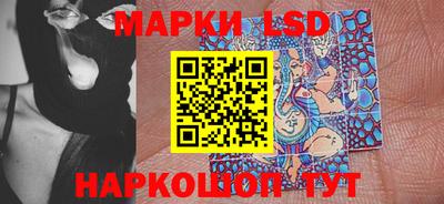 индика Камышлов