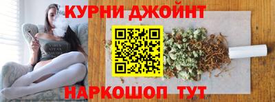 индика Камышлов