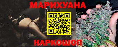 индика Камышлов