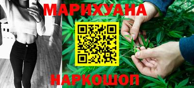 индика Камышлов