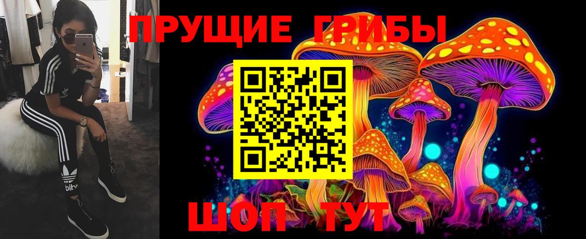 Галлюциногенные грибы прущие грибы  Псилоцибиновые грибы мицелий  Вход с VPN  Феодосия 